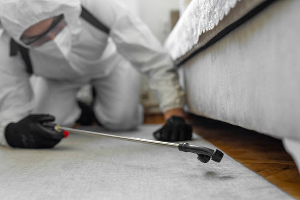 Professional Termite Control technician working in Tipton, CA