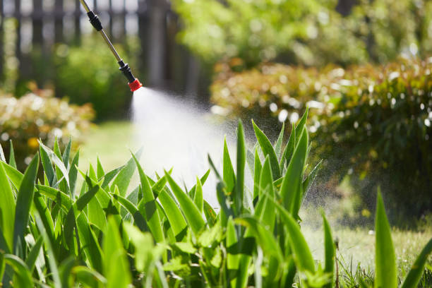 24/7 Emergency Termite Control experts in Tipton, CA